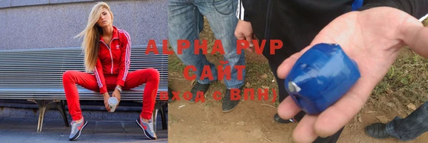 трава Бородино