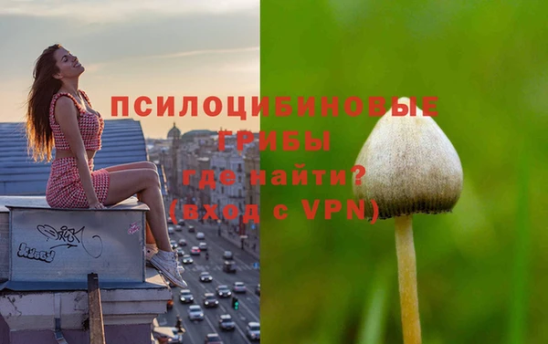 apvp Бронницы